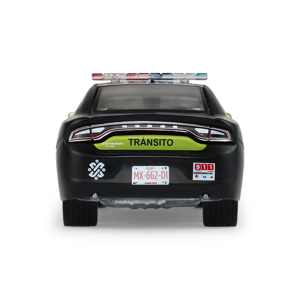 战马 - 墨西哥城交通管制警用版